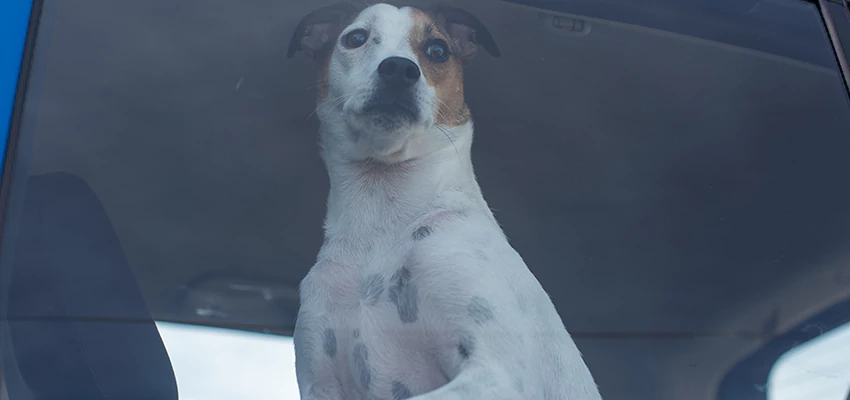 Car Lockout Solutions in Bear Valley Springs, California